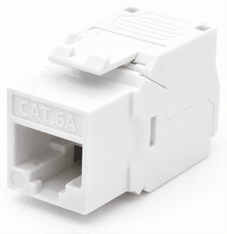 WP WPC-KEY-6AUP-TL/W módulo de conector de red