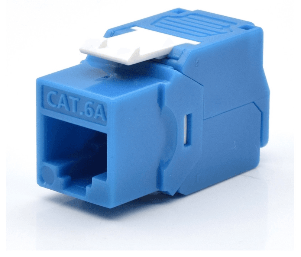 WP WPC-KEY-6AUP-TL/B módulo de conector de red