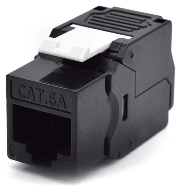 WP WPC-KEY-6AUP-TL/BL conector RJ45 Negro, Blanco