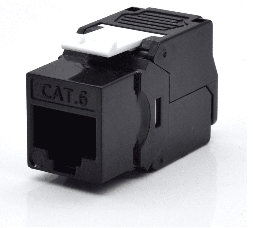 WP WPC-KEY-6UP-TL/BL módulo de conector de red