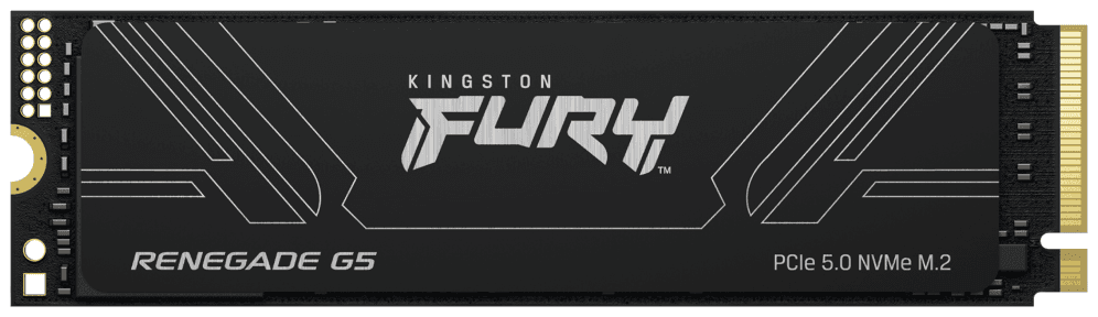 Kingston Technology 1T FURY RENEGADE G5 M.2 2280 NVMe SSD