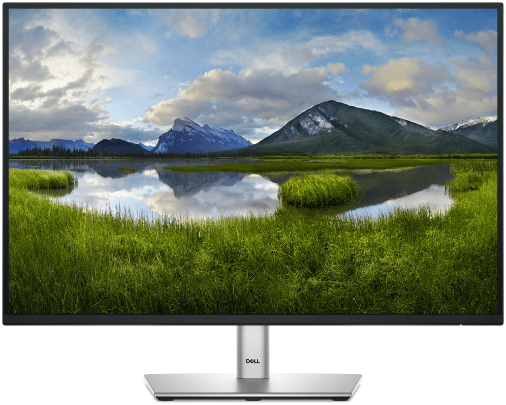 DELL Pro Plus P2425 pantalla para PC 61,1 cm (24.1") 1920 x 1200 Pixeles WUXGA LCD Negro