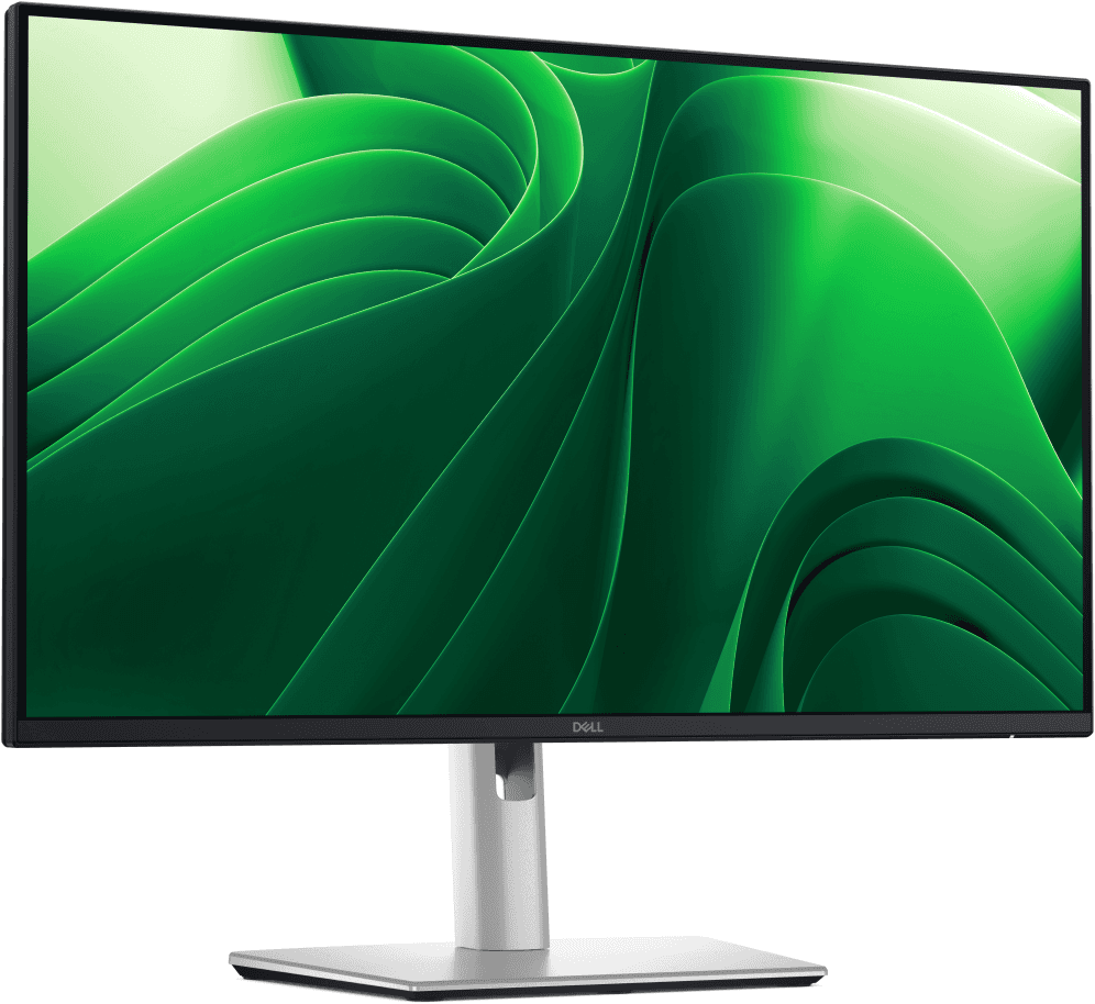 DELL Pro Plus P2425D pantalla para PC 61 cm (24") 2560 x 1440 Pixeles Quad HD LCD Negro, Plata