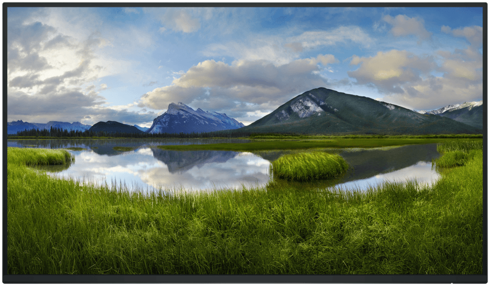 DELL Pro Plus P2725H_WOST pantalla para PC 68,6 cm (27") 1920 x 1080 Pixeles Full HD LCD Negro