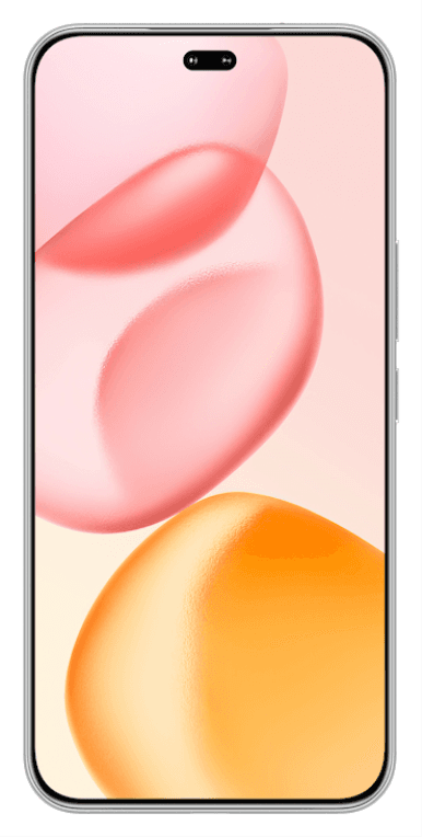 Honor 400 Pro 17 cm (6.7") MagicOS 9.0 5G 12 GB 512 GB 5300 mAh Gris
