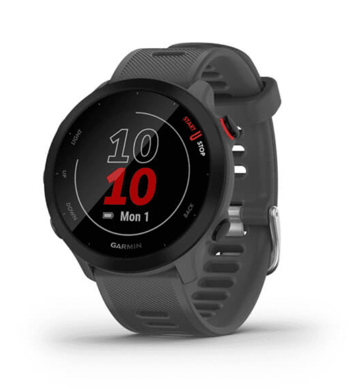 Garmin 010-02562-13 Relojes inteligentes y deportivos MIP 42 mm Gris GPS (satélite)